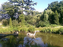 湖,夏天,公园