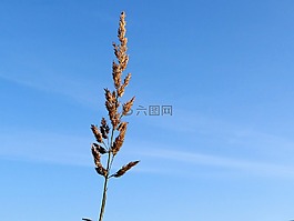 刀片,天空,藍色
