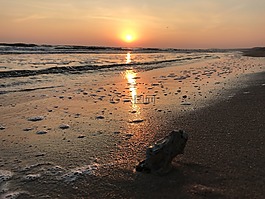 日出,海,海灘