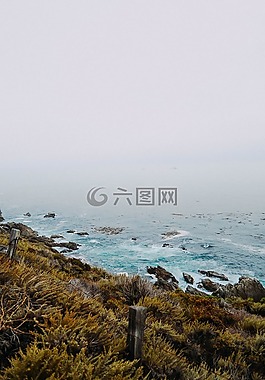 海,海洋,水