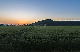 日落,北海道,自然