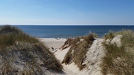 丹麥,海灘,海