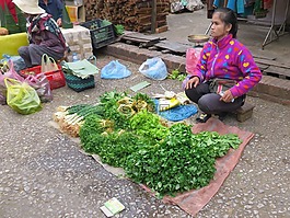 老撾,市場(chǎng),商人