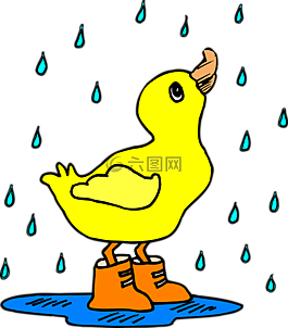 雨,鴨,水坑里