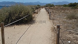 離,路徑,沙