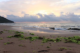 海灘,日落,海洋