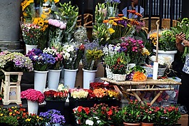鲜花,市场,bouquettes