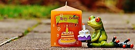 生日快樂(lè),生日,青蛙
