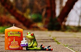 生日快樂(lè),生日,青蛙