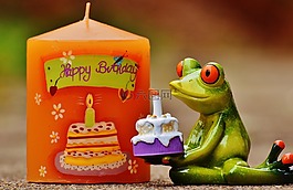 生日快樂(lè),生日,青蛙