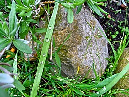 性質(zhì),雨滴,關(guān)閉