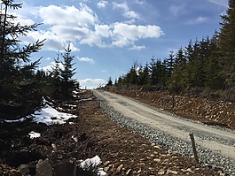 山,維斯,方式