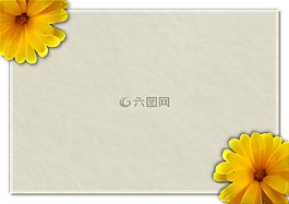 卡,日記,筆記本