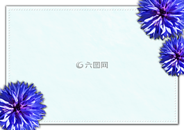 卡,日記,筆記本