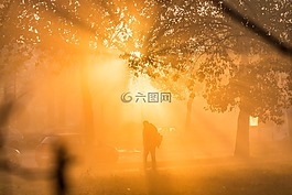 薄霧,上午,霧
