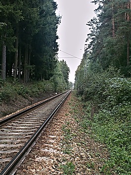 軌道,森林,遠(yuǎn)景