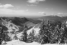 雪,bw,溫哥華