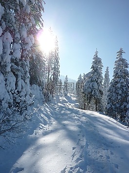寒冬,雪,山