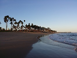 環(huán)境,巴西,海灘