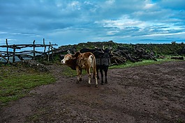 西高止山脈,景觀,自然