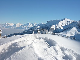 雪,冬天,瑞士
