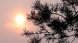 太陽,日落,晚上
