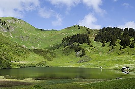 自然,景觀,山
