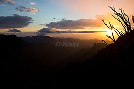 日落,森林,叢林