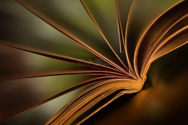 書,屏幕,氣候