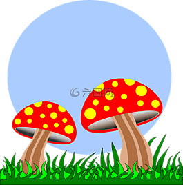 蘑菇,字段,真菌