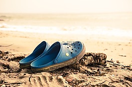 海滩,crogs,沙