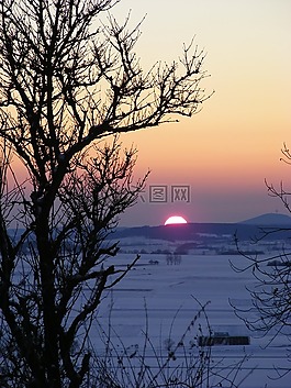 日落,冬天,景觀