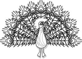 孔雀,鳥,雉雞