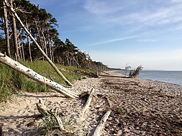 波羅的海,湖,海灘