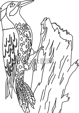 鳥,坐,啄木鳥