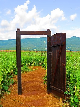 門,字段,鮮花