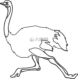 鴕鳥,鳥,動物