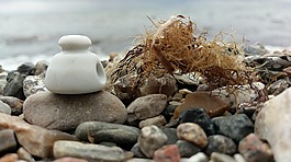 假期,海,海灘