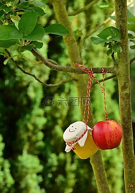 蘋果樹,蘋果,蘋果蜜餞