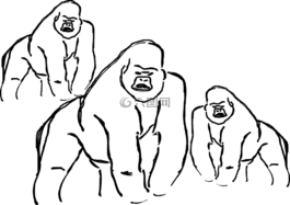 大猩猩,猿,動(dòng)物