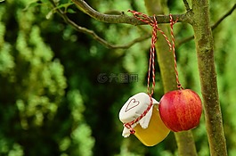 蘋果樹,蘋果,蘋果蜜餞