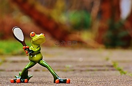 青蛙,網(wǎng)球,滑稽