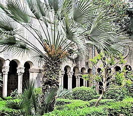 dubrovnic 克羅地亞,法院花園,拱門
