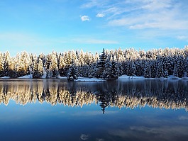 反思,雪,湖