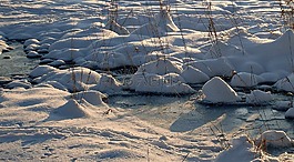 性質(zhì),冬天,雪