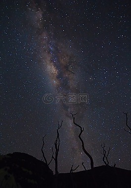 自然,黑暗,夜