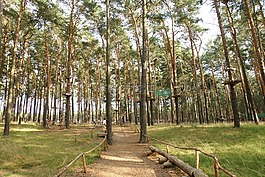 攀岩公园,森林,高空绳索课程