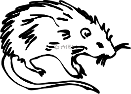 大鼠,動(dòng)物,滅鼠