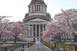 國會大廈,建設,華盛頓