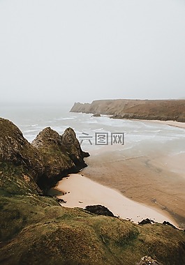 草,模糊,海岸